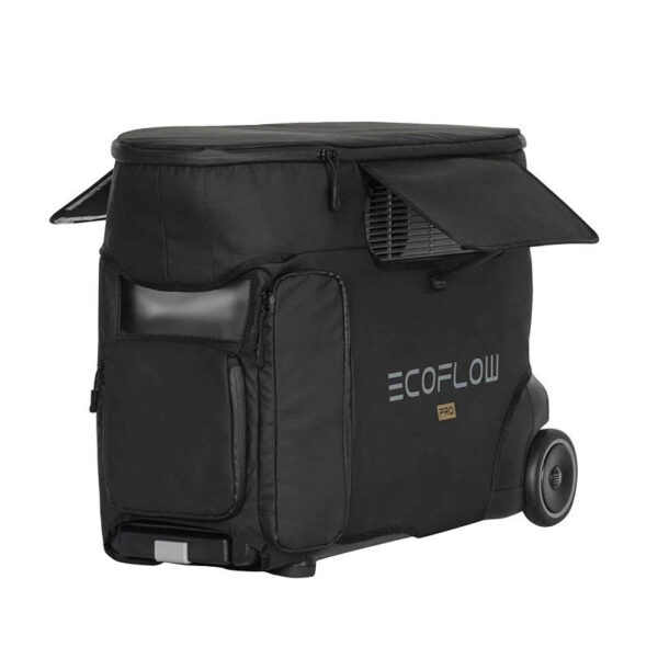 EcoFlow Delta Pro bag